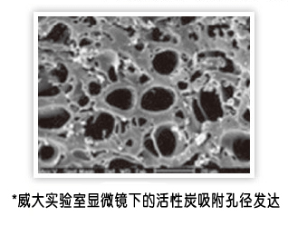 顯微鏡下的活性炭吸附孔徑－威大活性炭生產(chǎn)廠家實驗室拍攝